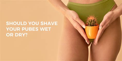 Should You Shave Your Pubes Wet or Dry? – ZOMCHI