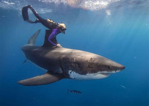 Ocean Ramsey Wallpapers - Wallpaper Cave