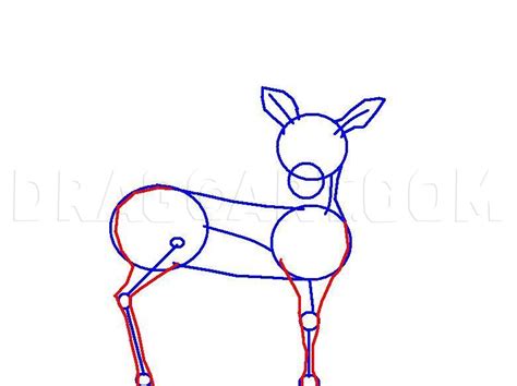 how to draw a doe