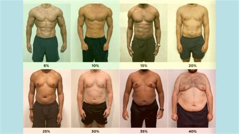 Understanding the Average Body Fat Percentage: A Comprehensive Guide