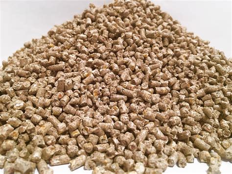 Что такое фуражный овес