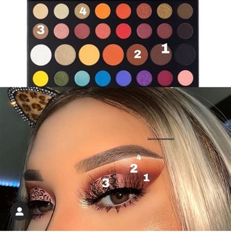 Pin by Sienna Jackson on Makeup morphe | Shimmer eye makeup, Makeup ...