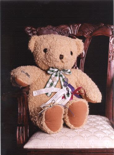 Teddy Bear is symbol of comfort in the midst of tragedy | News, Sports ...