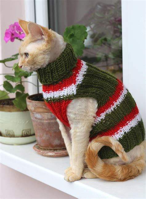 Cat Sweater Knitting Pattern, Scarf Knitting Patterns, Small Dog ...