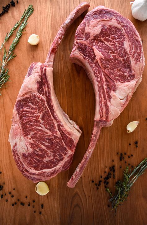 Shop — The Spotted Trotter