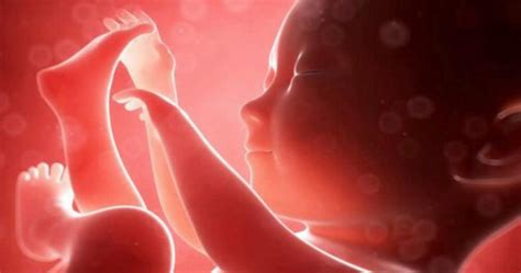 Quando O Bebe Morre Na Barriga O'que A Mae Sente - 6 coisas que o bebê sente ainda dentro da barriga da mãe