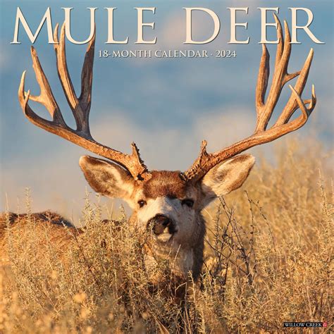 alabama deer season 2024-2025 6