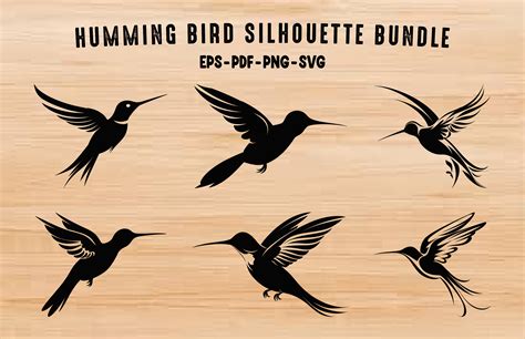 Hummingbird Silhouette Vector Art Set Graphic by Gfx_Expert_Team ...