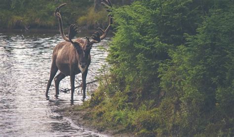28 Breathtaking Nature and Wildlife Photos