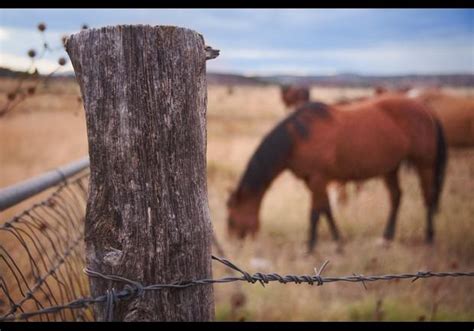 #6 Singleton family - 2011-10-11 - America's Biggest Landowners