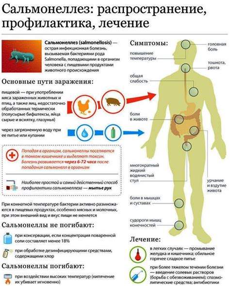 Сальмонеллез: причины, симптомы, лечение острой кишечной инфекции и ...