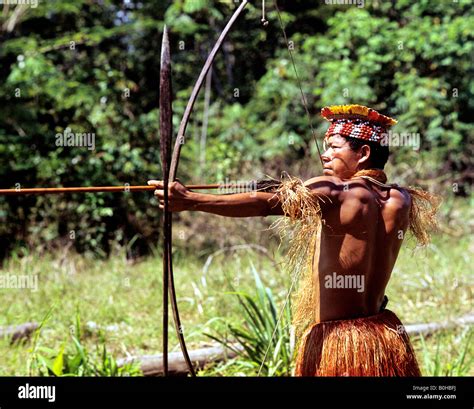 Indian, indio or indigenous warrior pointing a bow and arrow, Amazon ...