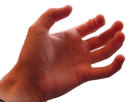 imageafter images hand hairs fingers nails