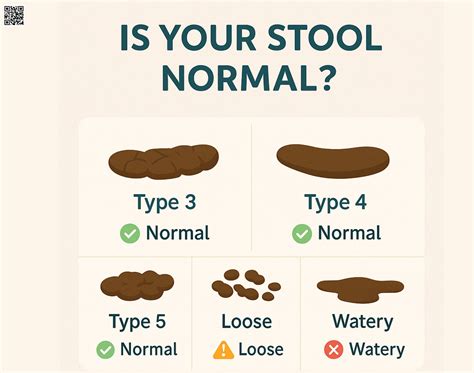 Loose Stool and Soft Stool: What It Means and When to Worry