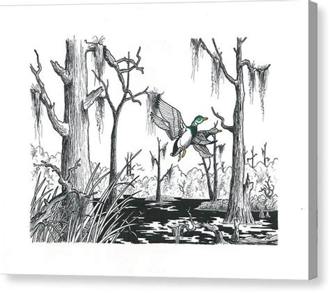 Swamp Drawing at PaintingValley.com | Explore collection of Swamp Drawing