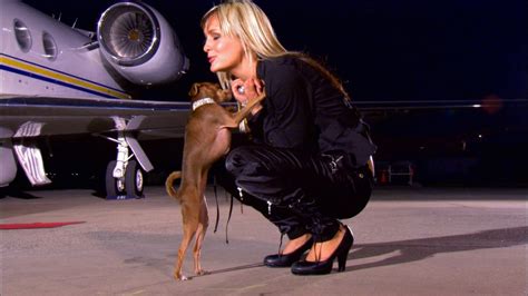 sallyisadog net worth