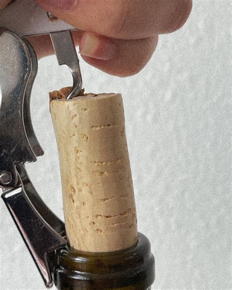 Yeast in Winemaking: Understanding Its Role on Flavor