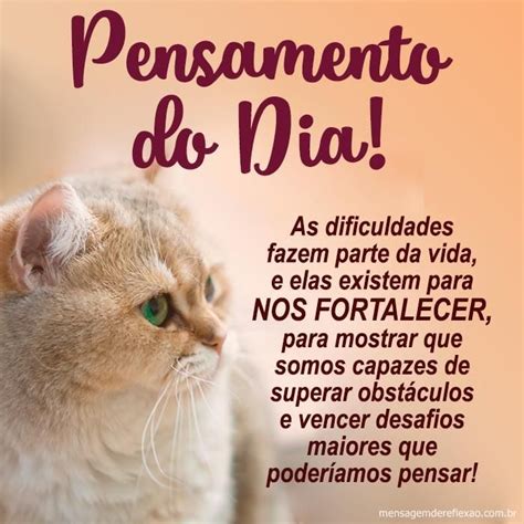 Pensamento Do Dia Mensagem - Pensamentos do Dia - Mensagens de Reflexão | Mensagem de reflexão ...
