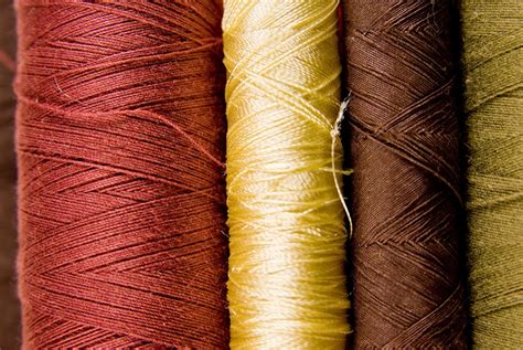 Threads 1 Free Stock Photo | FreeImages 