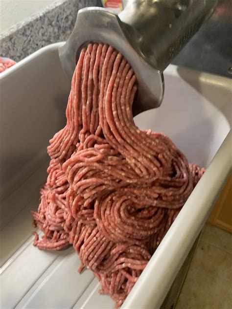 Wild hog meat… do you eat it or is it too risky? | Page 3 ...