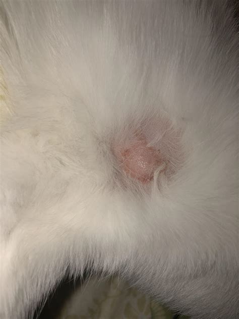 HELP! What does this look like to you? I can’t tell if it’s a hotspot