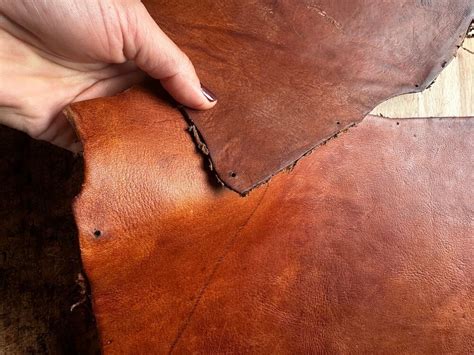 art  science  leather tanning  journey  learning