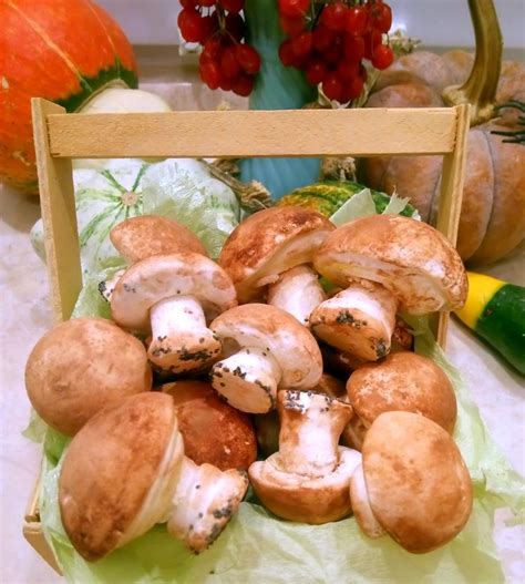 Зефирные грибочки | Цветочные кексы, Зефир