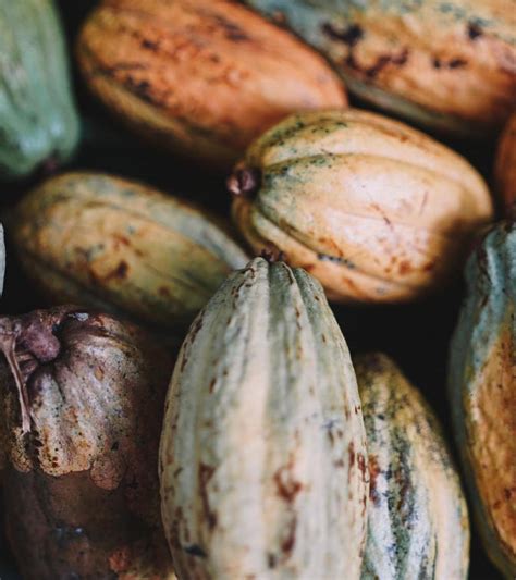 Alexis Ramirez Jackson | Her 🌱 A chapter in her life where she’s