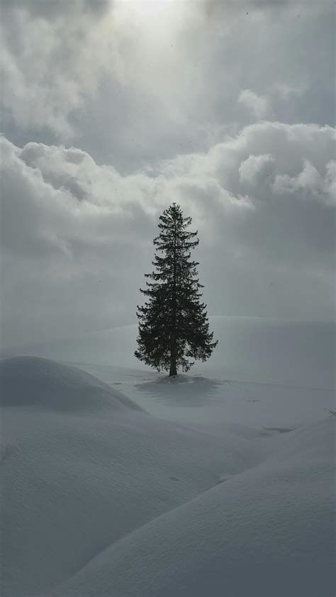 Japanese+Mom+Son+Bath Videos, Download The BEST Free 4k Stock Video