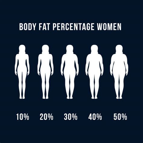 body fat percentage images illustrations royalty  vector graphics