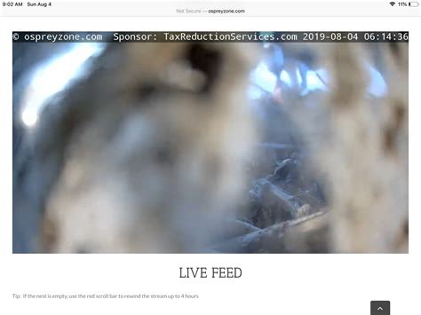 Osprey Zone - Live Osprey Cam - North Fork, Long Island, New York