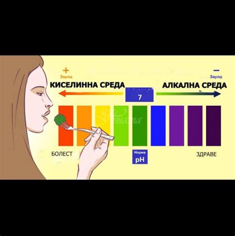 22 високо алкални храни, които ще ви предпазят от рак, диабет и други ...