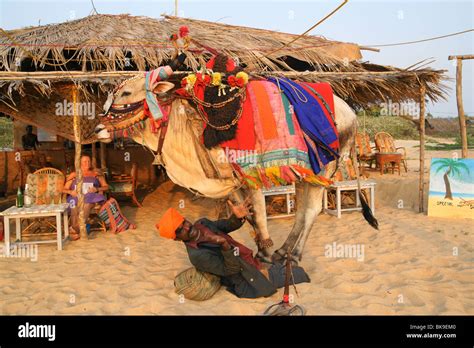 dancing   res stock photography  images alamy