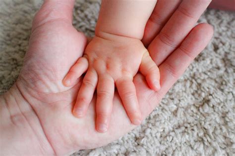 adoption  change la loi qui vient detre adoptee