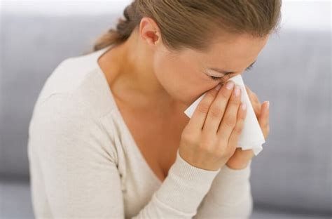 Seasonal Allergies: Causes, Symptoms, and Treatment - Step To Health