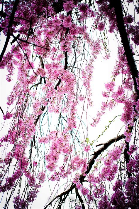 Jennifer Miriam Photography - Feeling the love and light here! ☀️💛