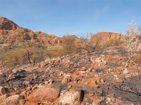 East MacDonnell Ranges - AliceSprings.com