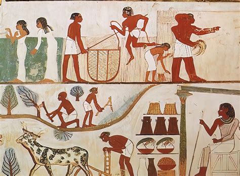 daily life   ancient egypt  giza digital giza