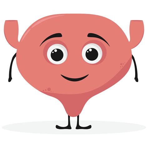 dibujos animados vejiga humano cuerpo Organo personaje. vector sano