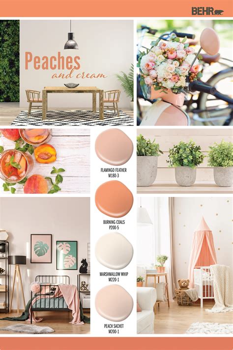 Light Peach Color Paint