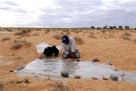 Researchers find 500-million-year-old trilobite fossils in Morocco
