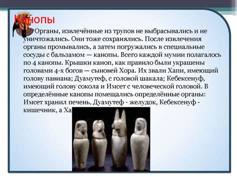 Бальзамирование и накопление знаний о строении человеческого тела ...