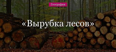 Вырубка лесов – к чему ведет, последствия уничтожения, причины и ...