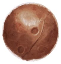 bludger harry potter wiki fandom