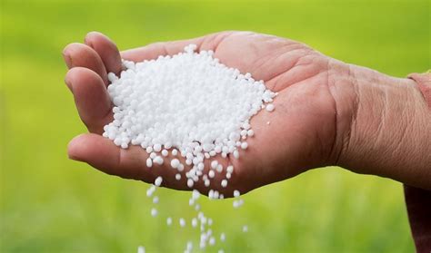 tea growers  concerned  urea scarcity  south india