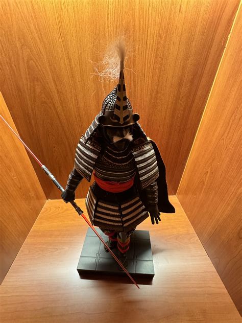 Samurai Darth maul : r/hottoys