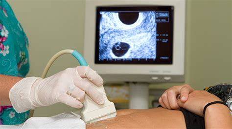 medical imaging erina ultrasound
