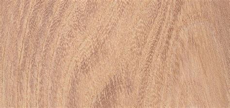 Elm Hardwood Timber | Whitney Sawmills