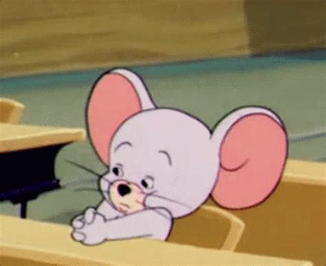 Tom and jerry nibbles gif tom and jerry nibbles school discover share ...