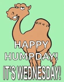 Hump Day Gif - IceGif